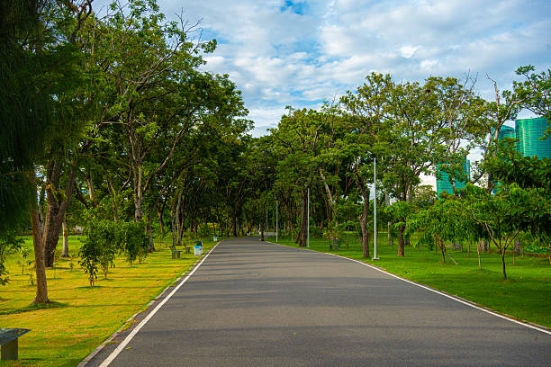 istock Pathway walk way park green tropical tree forest nature public park 2228049383