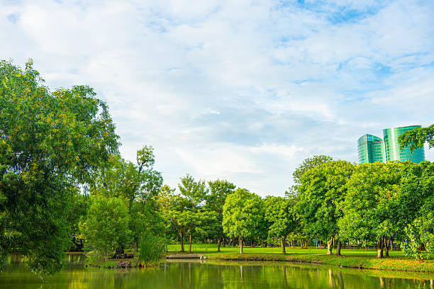 Green city park river tropical forest green tree background Bangkok Thailand