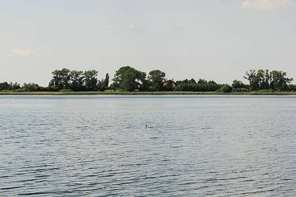 Minimalist shot of a lake with the horizon and blue sky on a summer day with a blue color