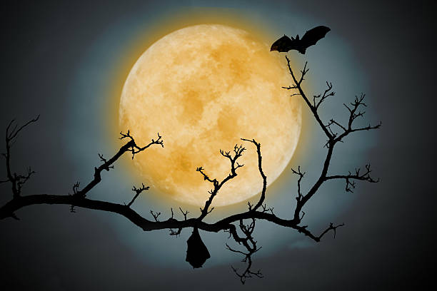 istock Full moon in the night sky. halloween background 2228053764
