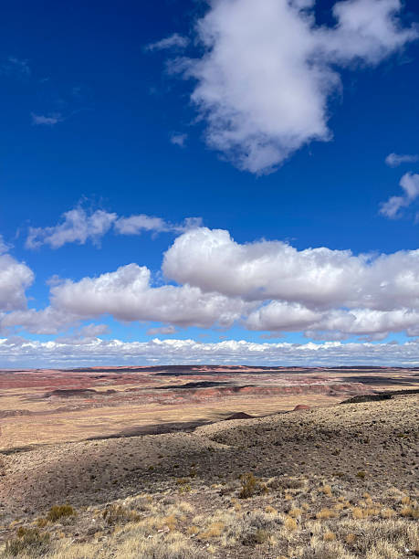 istock Painted Desert in Petrified Forest National Park, Arizona 2228056688