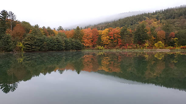 istock Foggy Lake in Autumn 2228057190