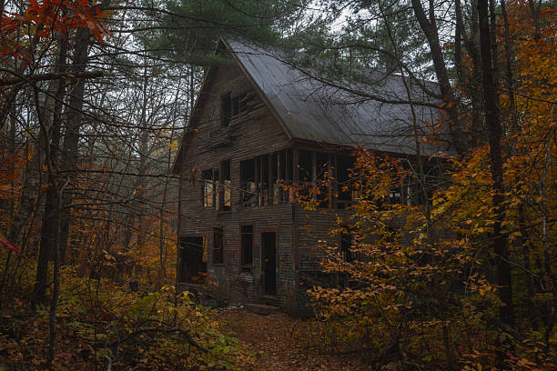 istock Abandoned House in the Forest 2228057608