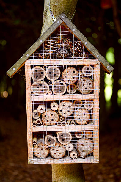 istock A hotel for insects in a park 2228058811