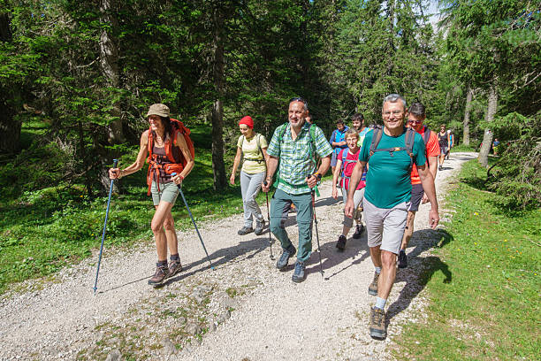 A group of friends climb through the woods towards a peak in the Dolomites