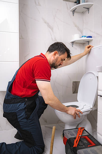 istock Plumber inspecting toilet in bathroom during house call 2228065592