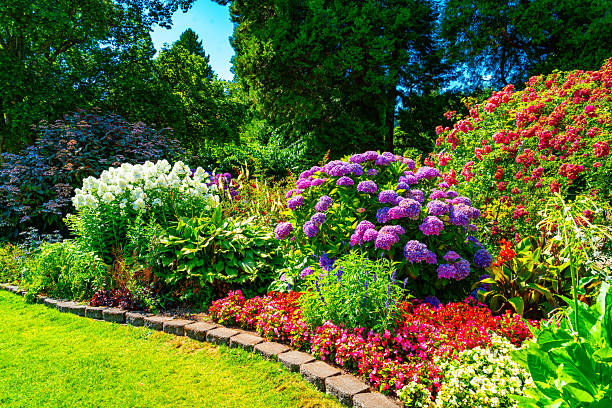 istock Lush Garden Flowers 4 2228067952