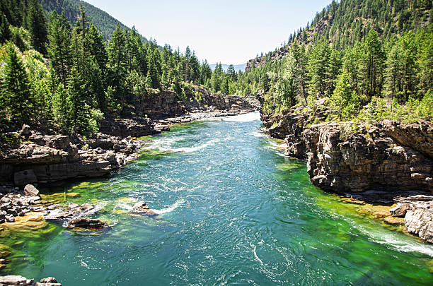 This breathtaking view of Kootenai Falls in Montana captures the stunning natural beauty of the rushing water and surrounding landscape.