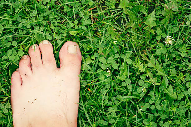 A bare foot stands on a green lawn with clover, symbolizing a connection with nature and freedom. This image conveys a feeling of comfort, freshness, and summer outdoor recreation.