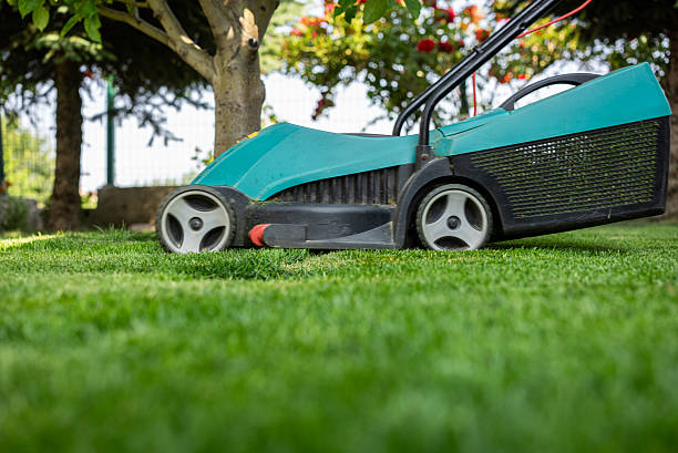 Close up of the lawn mower machine.