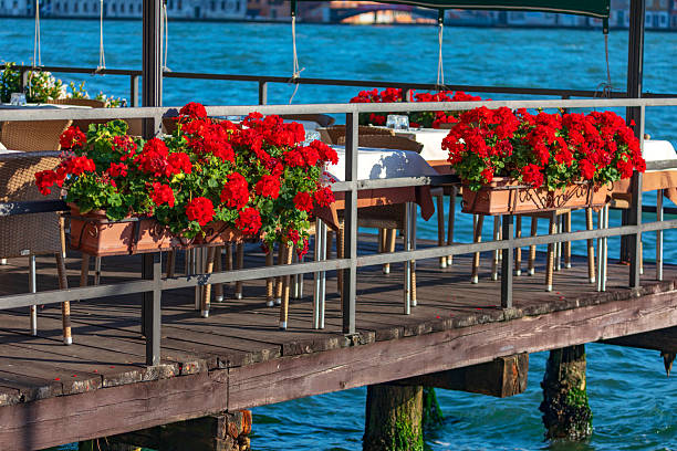 istock Charming waterfront terrace in Venice with flowers 2228075236