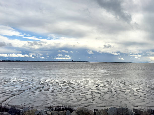 Iona Beach Regional Park in Winter in Richmond, Vancouver, British Colunbia, CANADA.