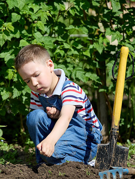 istock Hardworking little boy planting seeds in vegetable garden bed 2228078954