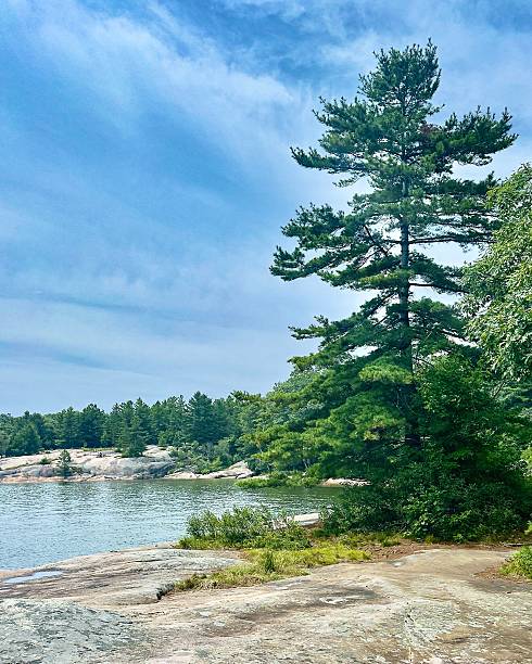 istock Killbear Provincial park, Georgian Bay Ontario Canada 2228079367