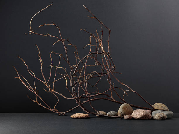 An intricately entwined bush of withered branches and smooth stones against a black background. Mockup for natural, eco-friendly products.
