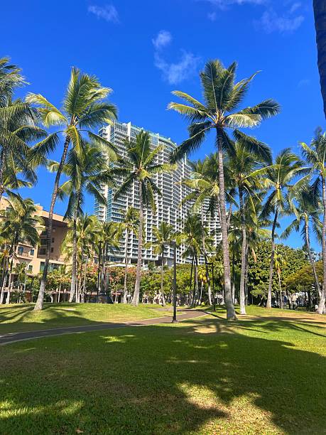 istock Honolulu Cityscape Surrounded by Palm Trees and Greenery 2228083097