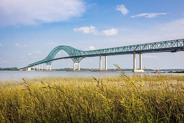 istock Pont Laviolette seen from the river with aquatic plants in foreground 2228083977