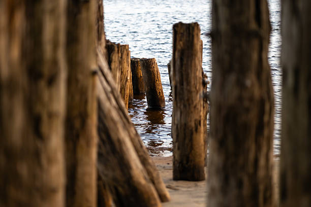 Wooden posts on a beach at sunset overlooking the Saint Lawrence River.