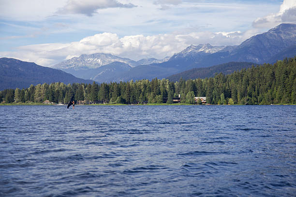 Distant view of young man sailing wing foil on lake, Whistler, British Columbia