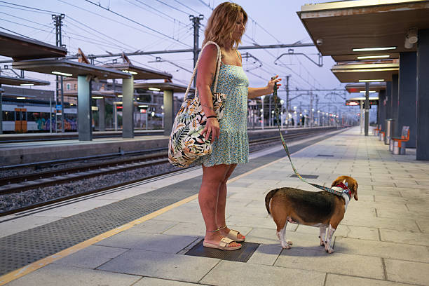 Blonde mid adult woman wearing a light blue sundress stands on a train platform with her beagle dog, patiently waiting for their train to arrive, carrying a large floral tote bag