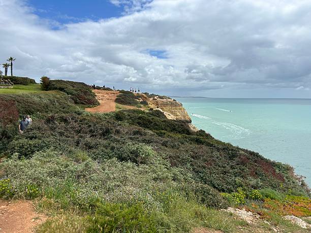 istock Clifftops of the Algarve 2228091793