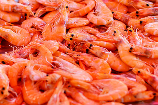 istock Closeup of raw shrimp on plain background with soft lighting 2228092542