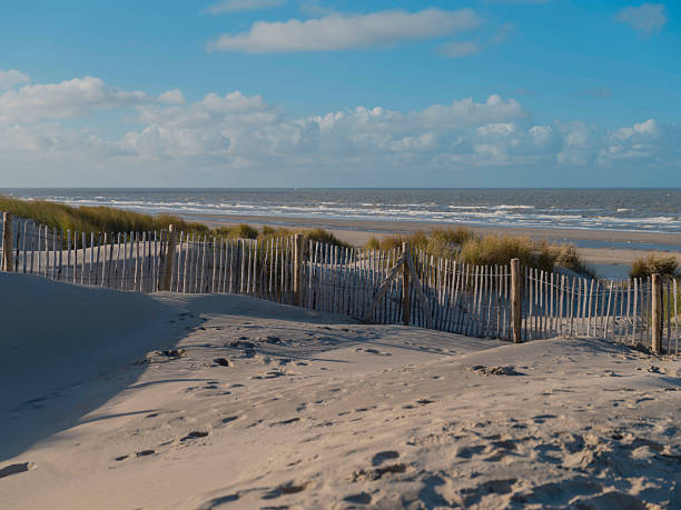 Coast and beach at Julianadorp at the North Sea.Dune landscape