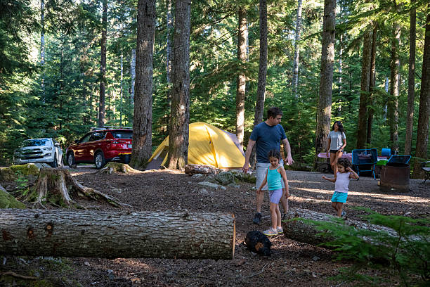 istock Parents helps young daughters balance on log in forest 2228096543