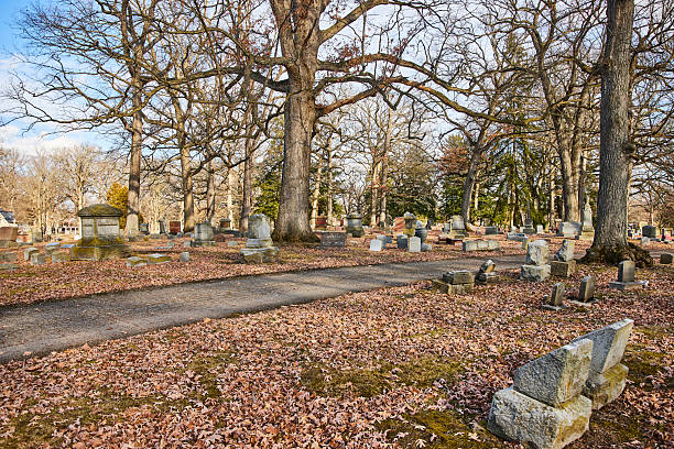Large autumn tree with golden leaves spreading above old gravestones