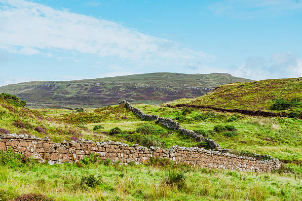 Dry Stone Wall in a Pasture in Scotland