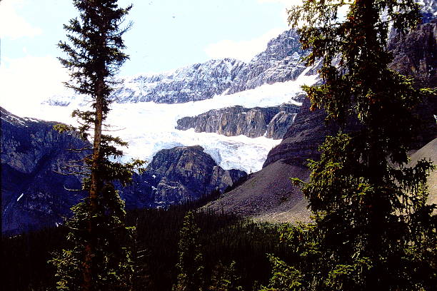These old slide film images of the Columbia Icefield in Alberta capture the vast, glacial expanse in its raw, unspoiled state. Taken in the 1970s or 1980s, the photos have a distinct warmth and soft grain characteristic of vintage slide film. The ice stretches across rugged mountain valleys, its surface cracked and textured under the weight of centuries. Towering peaks rise beyond the glacier, their ridges dusted with snow. The faded colors and film tones add a timeless, almost haunting quality—preserving a moment when the ice still reached farther and the air felt untouched.