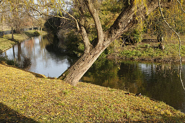 Regent's Park (officially The Regent's Park) is one of the Royal Parks of London. It occupies 410 acres (170 ha) in north-west Inner London.