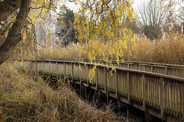 Regent's Park (officially The Regent's Park) is one of the Royal Parks of London. It occupies 410 acres (170 ha) in north-west Inner London.