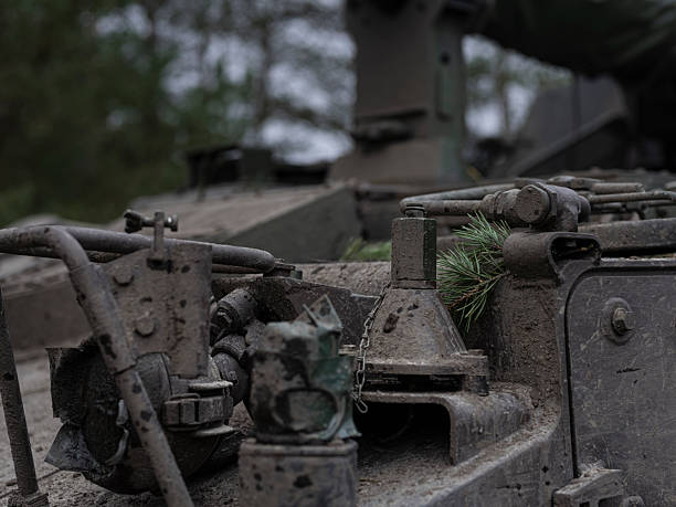World War II Russian 122 mm howitzer M-30 on the fieldSee more MILITARY images here: