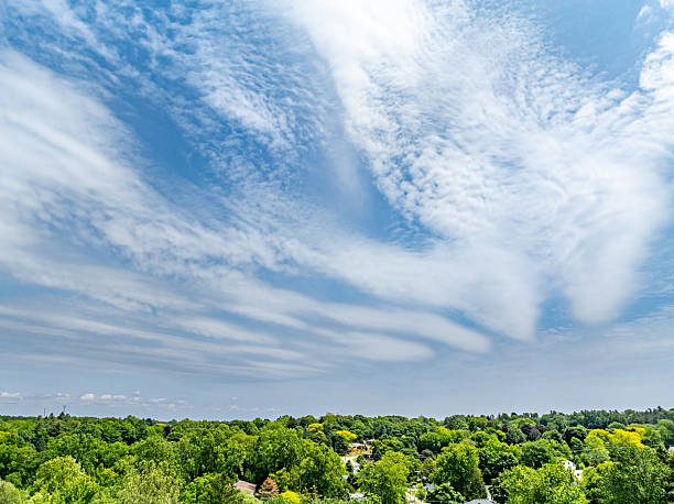 Lynnwood Park in Simcoe Town, Ontario, Canada.