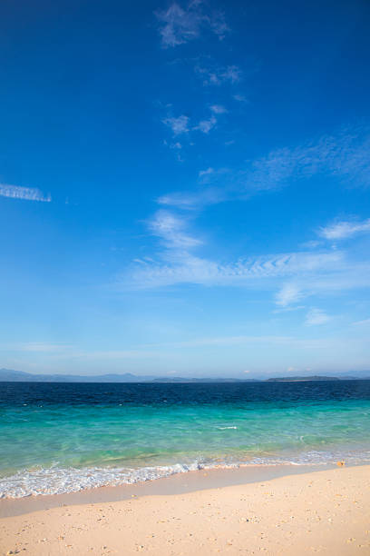 Tropical Beach with Turquoise Water and Blue Sky
