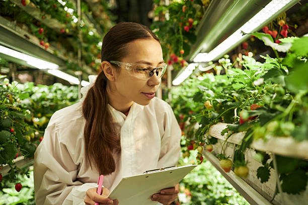 istock Young Woman Observing Strawberry Plants While Taking Notes Indoors 2228123029