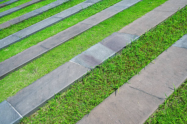 istock Stone staircase with green grass 2228124051