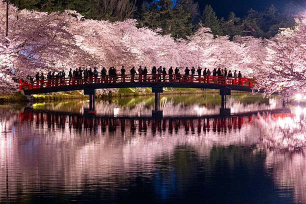 istock Nighttime Cherry Blossoms at Hirosaki 2228131510