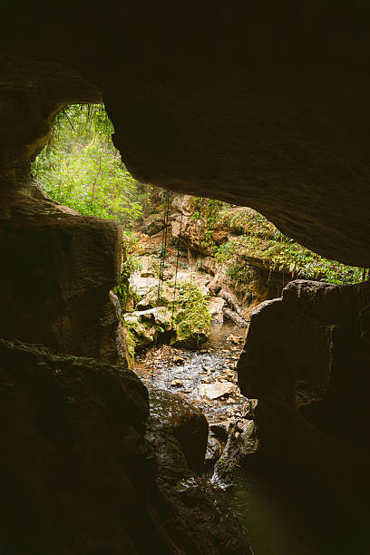 A view from inside a cave looking out to a lush, green forest with a small stream flowing through rocks from charco azul puerto rico