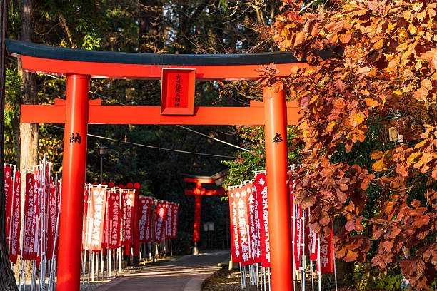 Taga, Shiga, Japan - December 16, 2024 : Rows of vibrant red torii gate and ritual banners line the path at Kanesaki Inari Shrine, a subsidiary of Taga Taisha.
