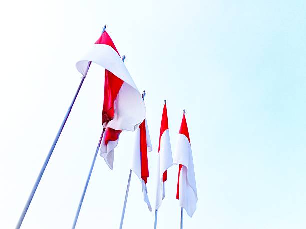 istock The Indonesian national red and white flag 2228140566