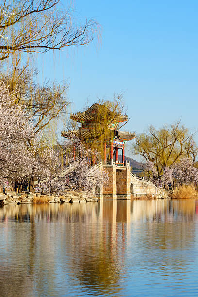 istock Spring scenery of Kunming Lake in Summer Palace 2228140774