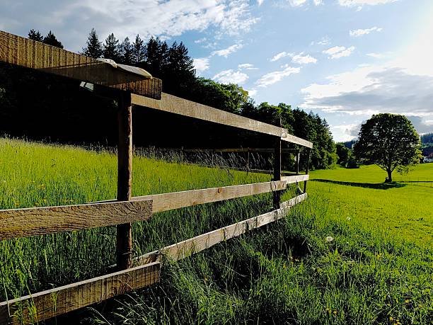 Close-up of weathered wooden fence posts and rails bordering a vibrant green field, creating a picturesque rural scene