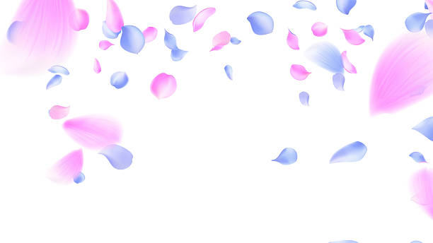 istock Soft pastel pink and light blue flower petals gently falling on a pure white background creating an atmosphere of tenderness cheerfulness freshness natural beauty purity 2228144107