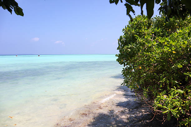 istock The turquoise sea meets the clear blue sky, creating a serene beach scene 2228146474
