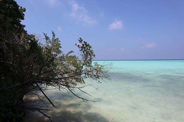 istock Clear turquoise waters meet the shore under a bright blue sky 2228146475