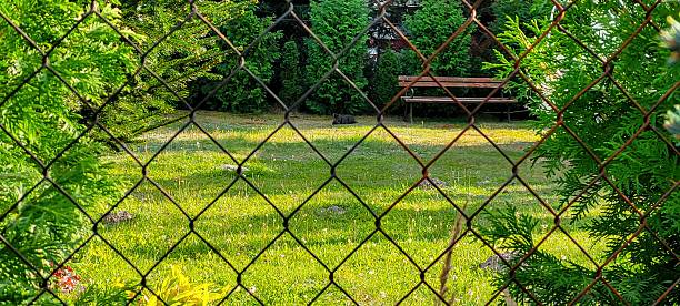 This is a serene and peaceful view showcasing a lush, vibrant garden along with a bench seen through a chain link fence