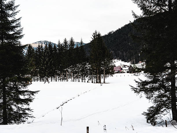 istock A skiing town under the Alps 2228149014
