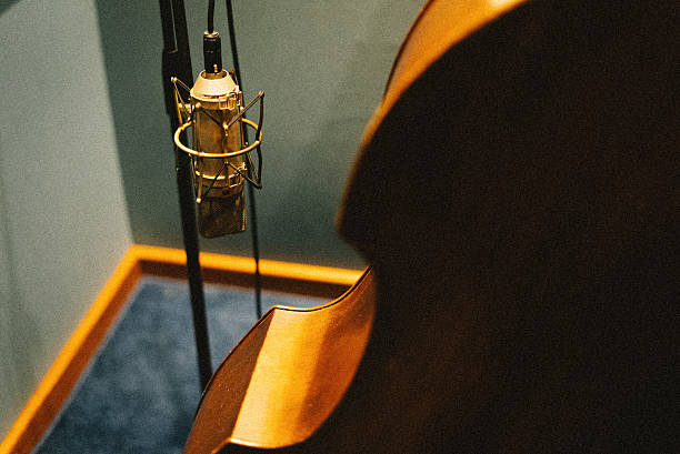 Shot of live performance on a double bass. Only the hand of the bassplayer is visable.